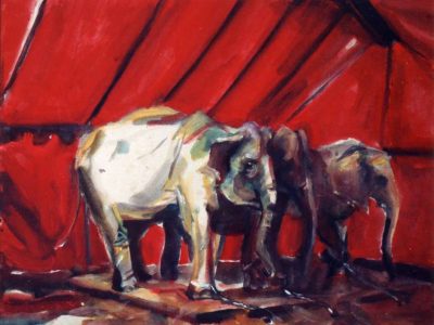 Travelling theatre - The Elephants of 'Il Florilegio'